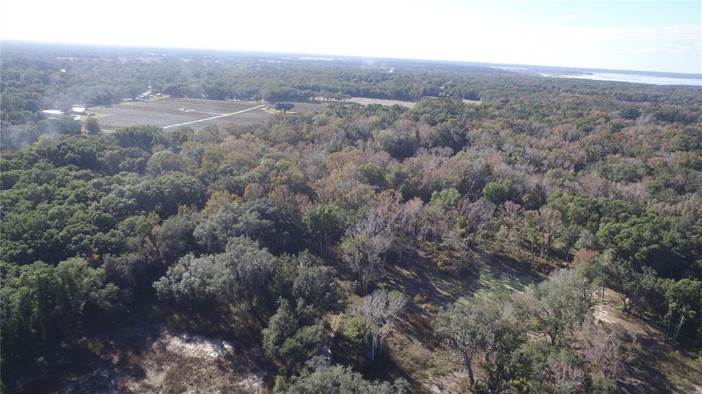301 Tbd Citra, FL 32113 - Photo 10 of 36 an aerial view of house with yard and mountain view in back