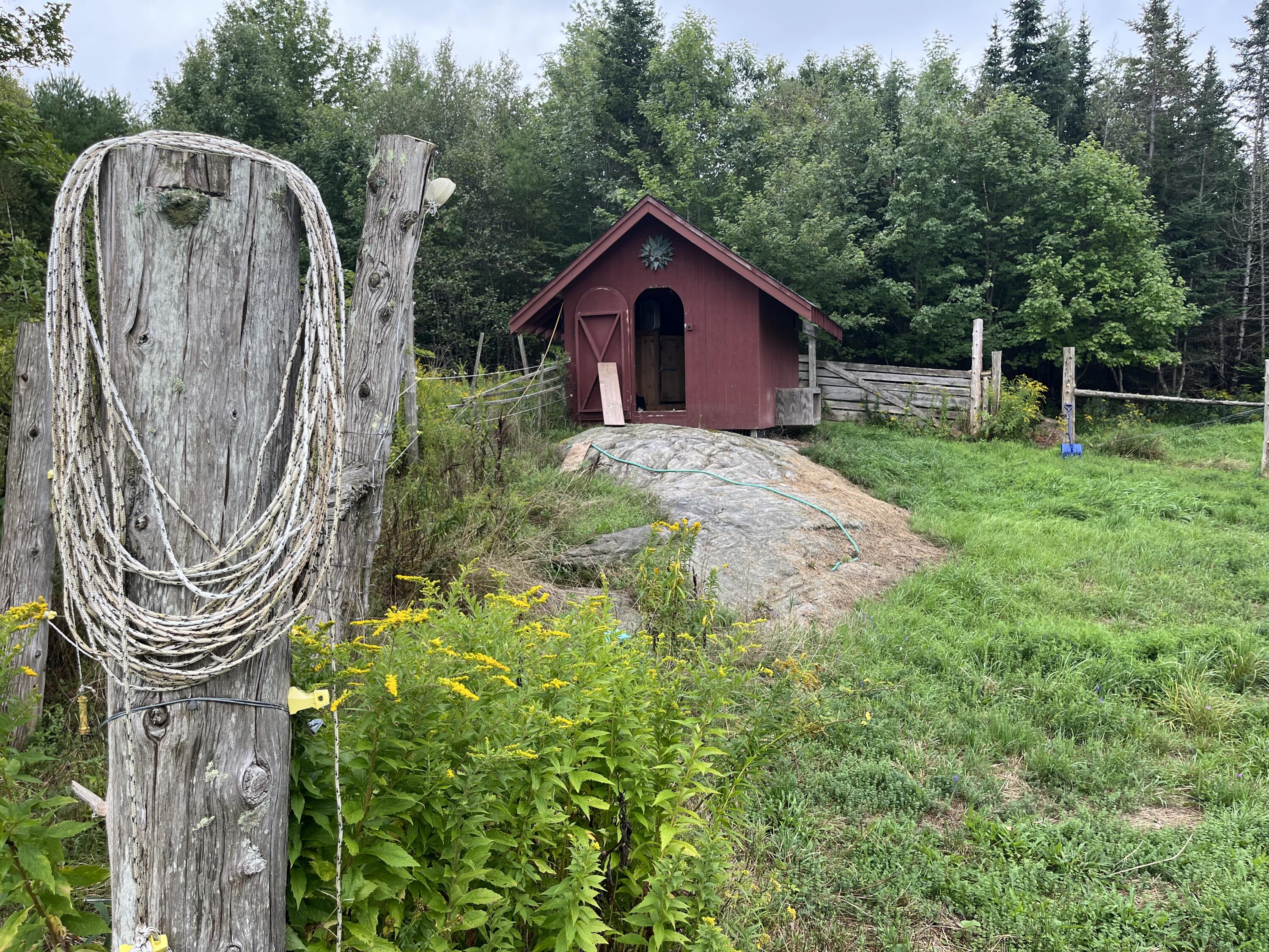 18 Sheepscot Shores Road Trevett, ME 04571 - Photo 6 of 17 IMG_8425