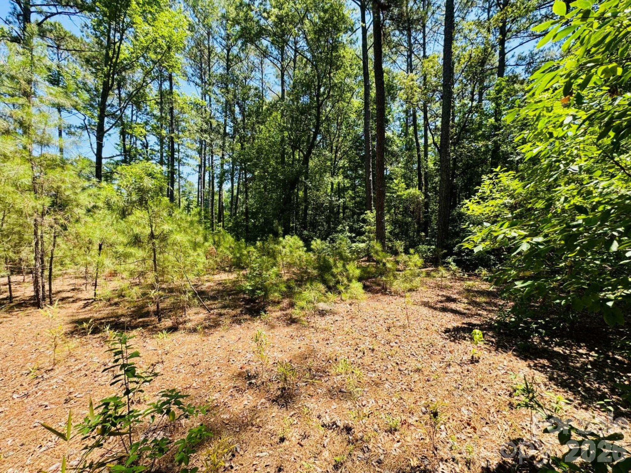 5326 Judson Road Clio, SC 29525 - Photo 20 of 29