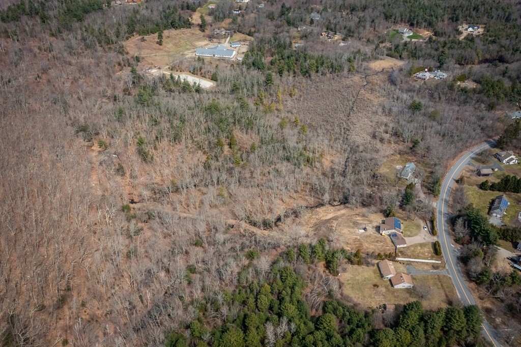 127 Upper Hampden Road Monson, MA 01057 - Photo 7 of 42 a view of a forest with a dry yard