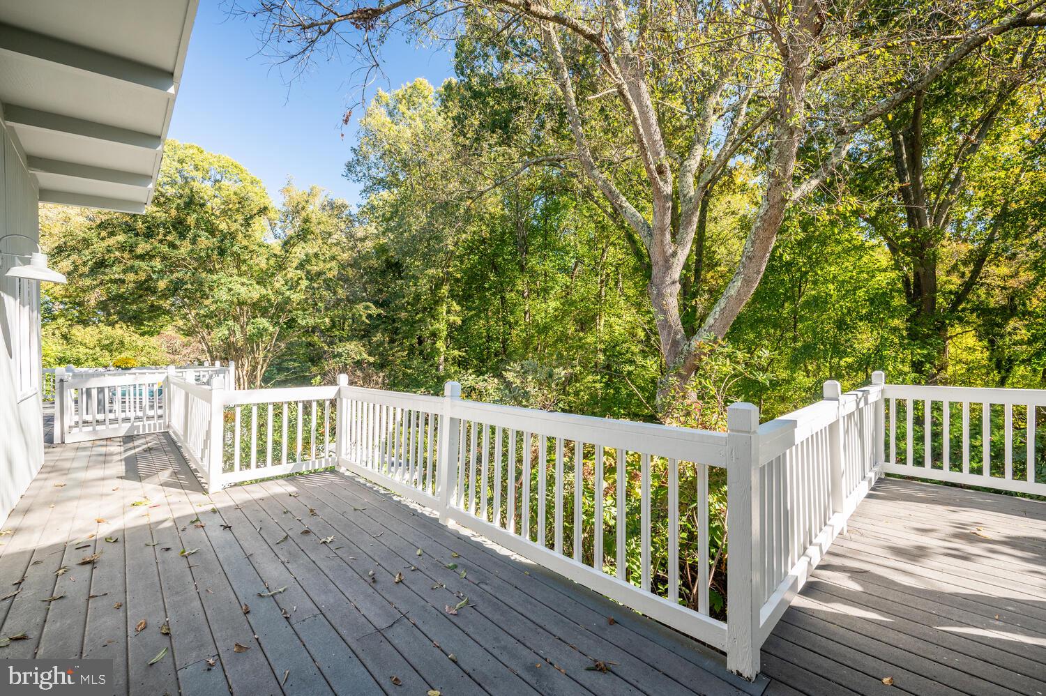15 Nutwell Road Lothian, MD 20711 - Photo 37 of 64