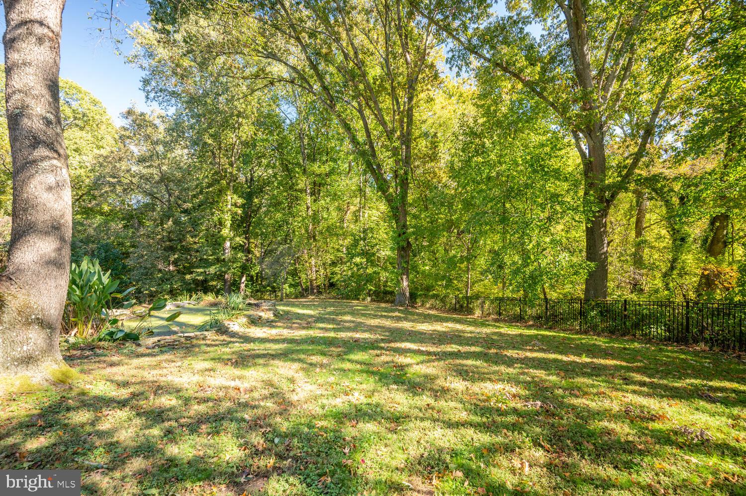 15 Nutwell Road Lothian, MD 20711 - Photo 50 of 64