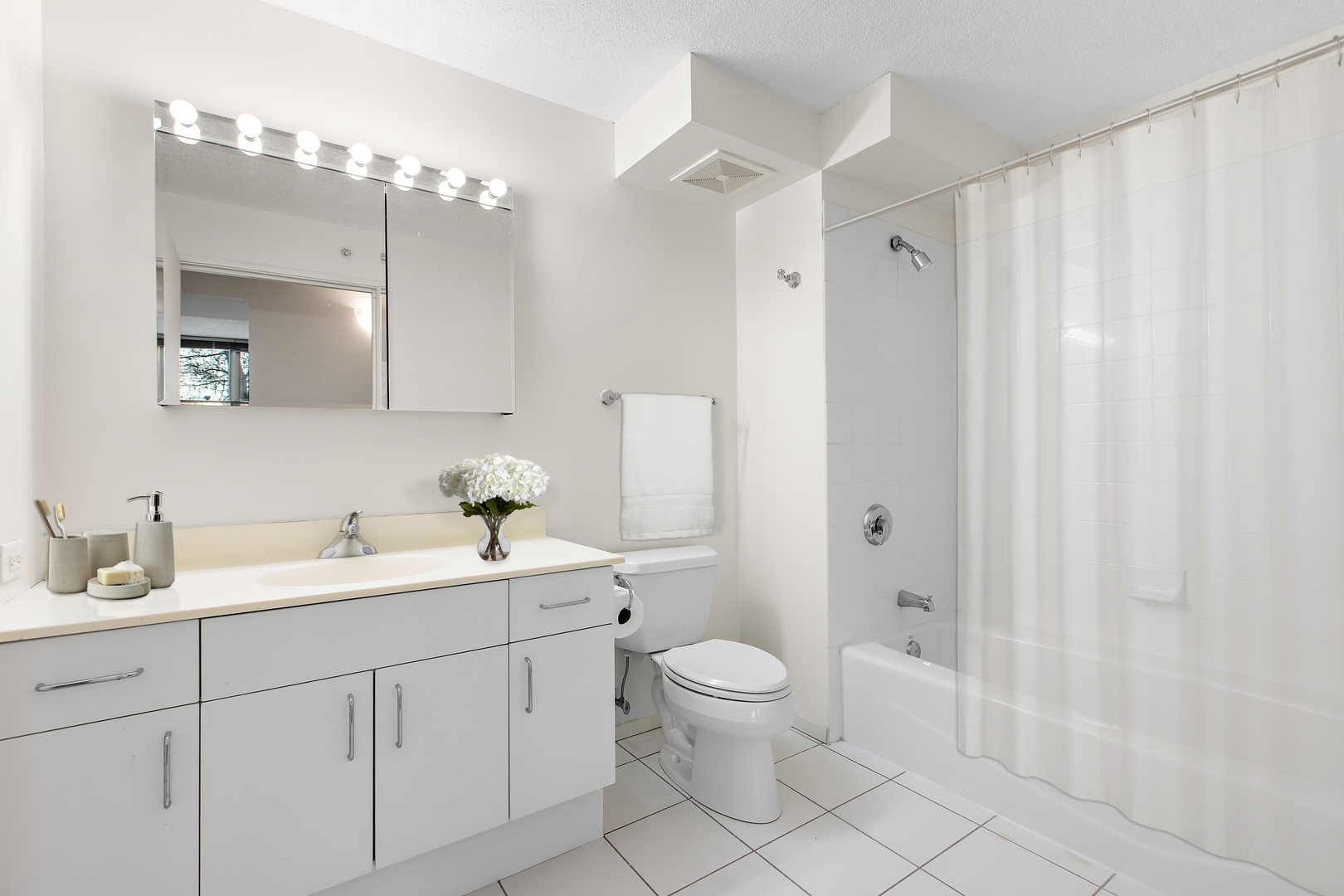 800 Elgin Road, Unit 502 Evanston, IL 60201 - Photo 15 of 23