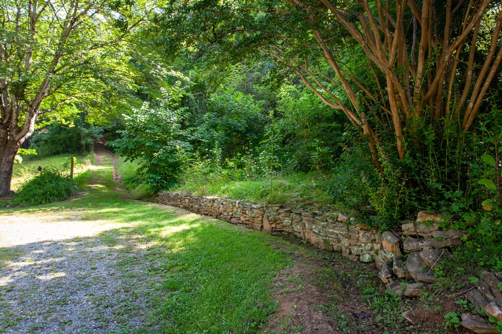 261 Shook Road Bryson City, NC 28713 - Photo 41 of 44 Gallery Image 41