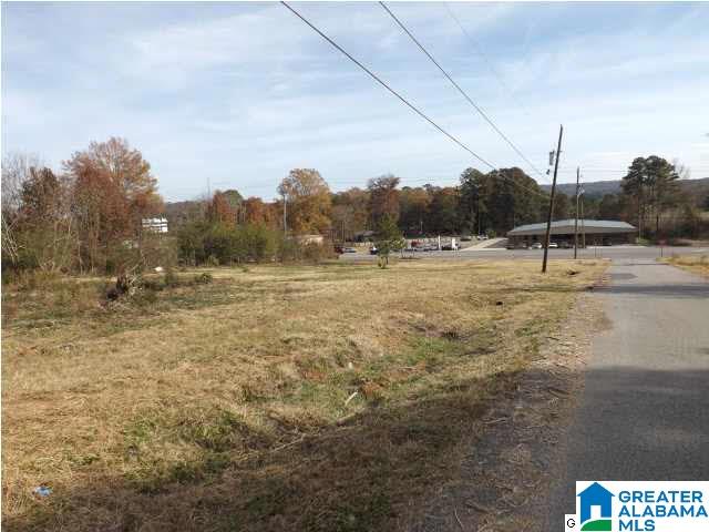 0 Highway 75, Unit 7 Oneonta, AL 35121 - Photo 4 of 9
