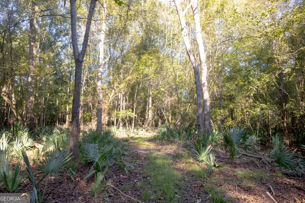 a view of outdoor space and trees