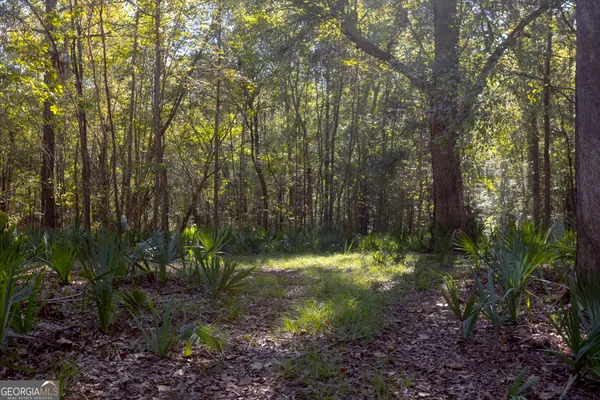 a view of a lake with a yard