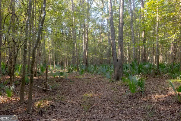 a view of outdoor space and green space