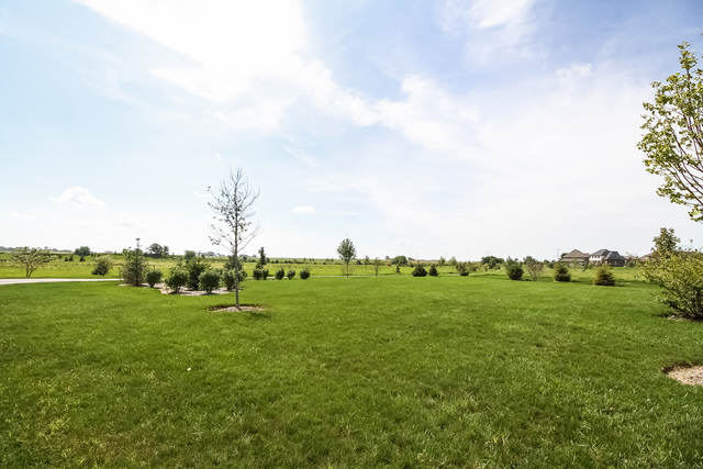 941 Redcliff Road New Lenox, IL 60451 - Photo 34 of 52