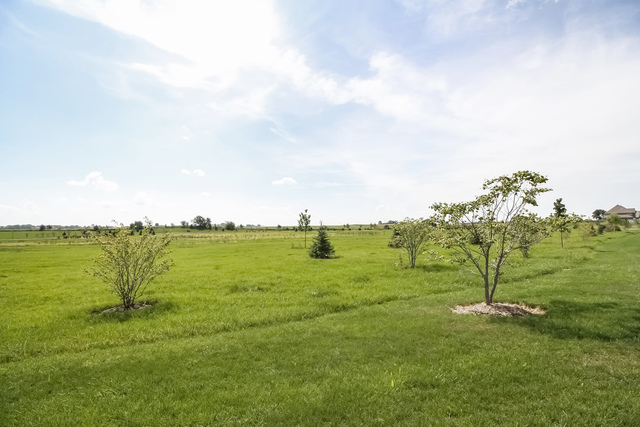 941 Redcliff Road New Lenox, IL 60451 - Photo 36 of 52