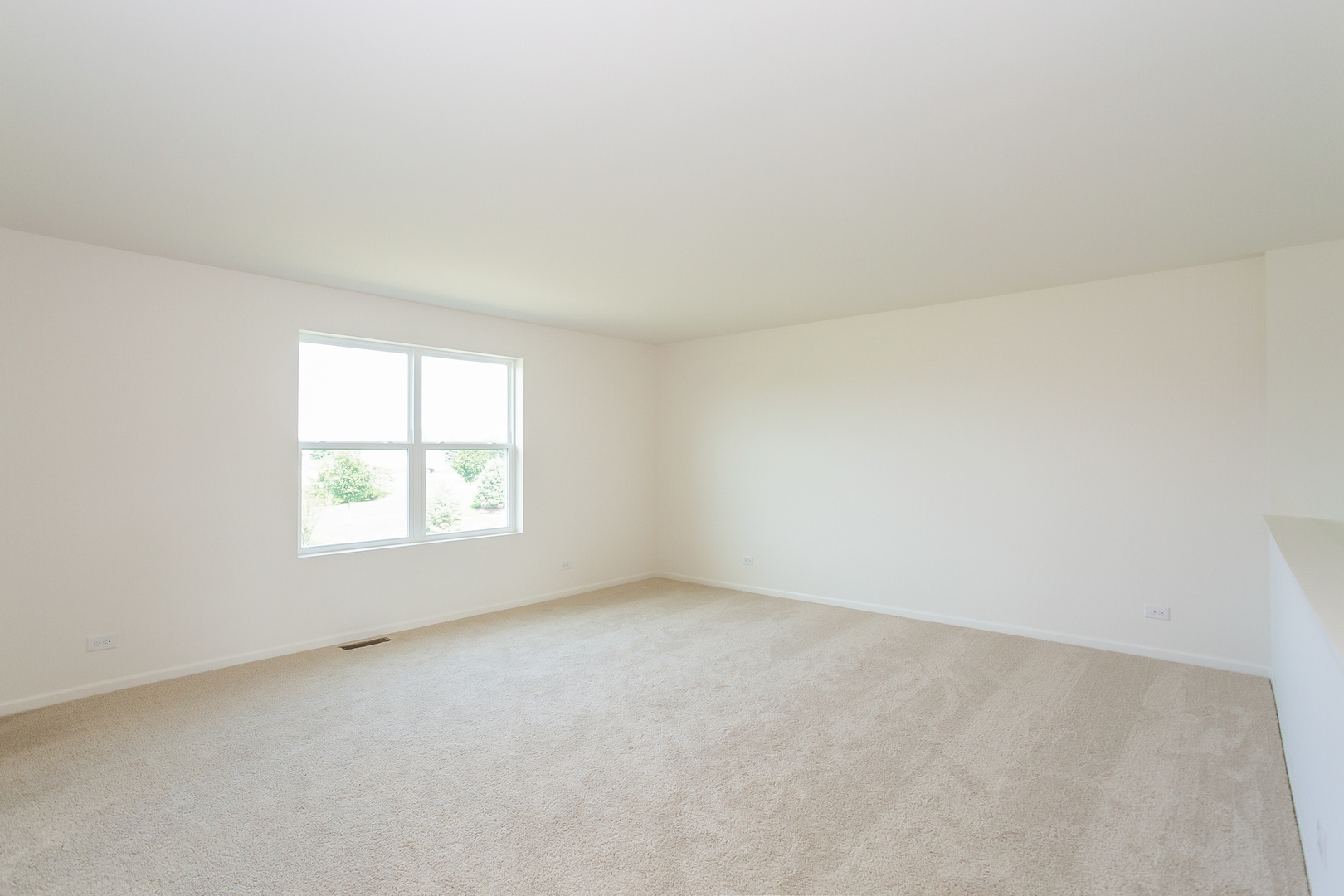 941 Redcliff Road New Lenox, IL 60451 - Photo 10 of 52