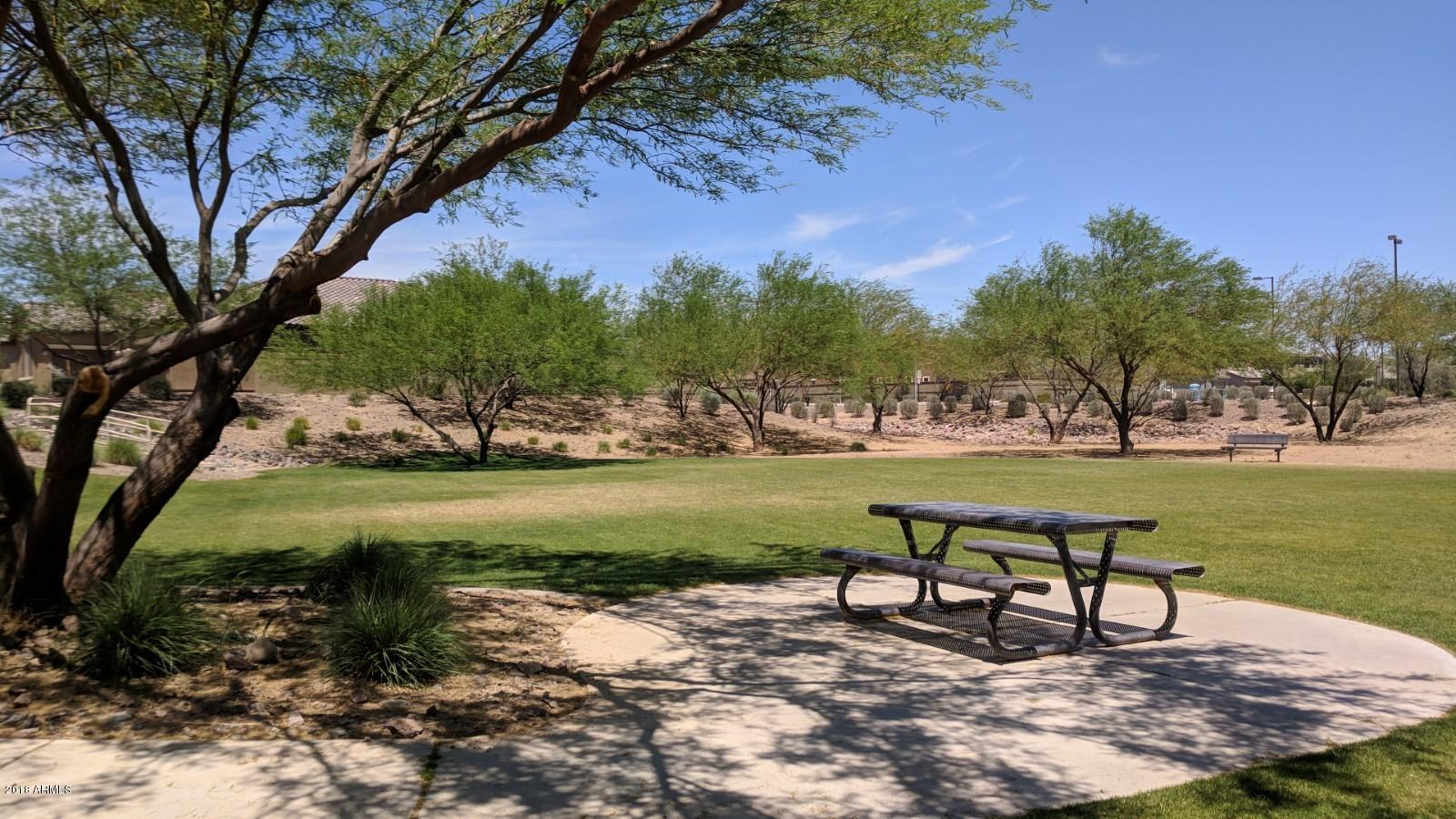 21354 West Berkeley Road Buckeye, AZ 85396 - Photo 31 of 39 community park 2