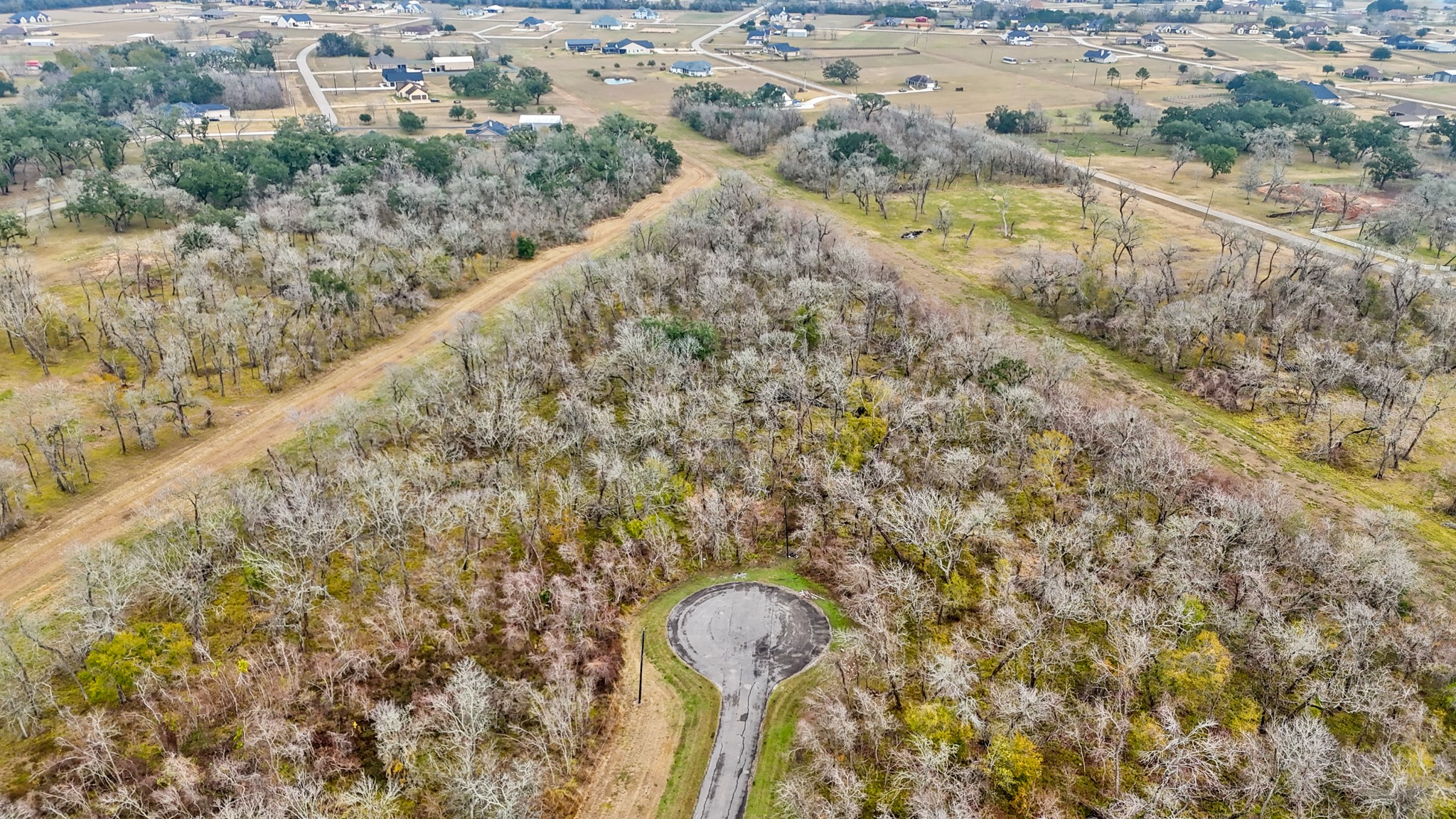 a view of a yard with a trees