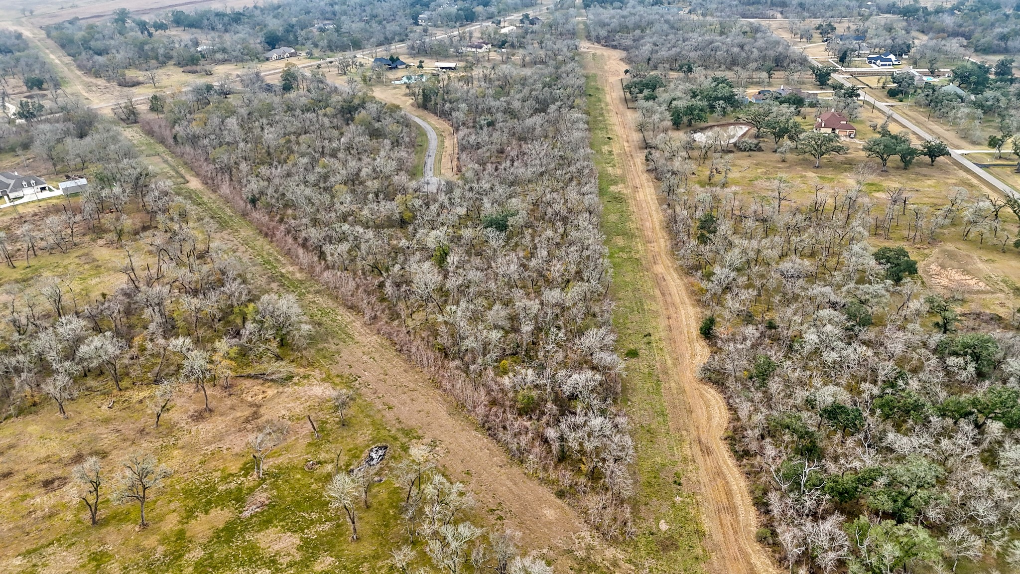 17502 Red Fork Drive Rosharon, TX 77583 - Photo 2 of 7 a close up of a plant with lots of bushes