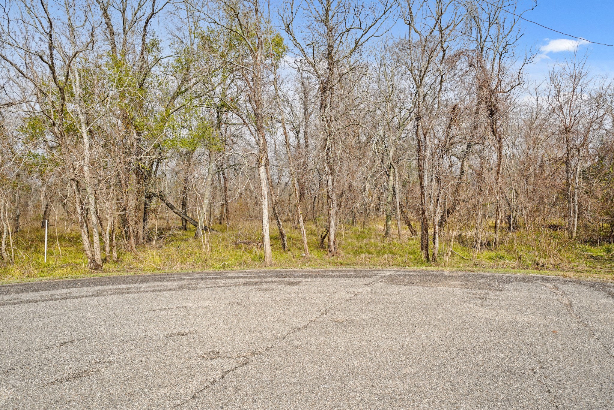 17502 Red Fork Drive Rosharon, TX 77583 - Photo 4 of 7