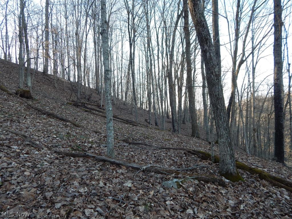 Straight Fork Harrisville, WV 26362 - Photo 7 of 12