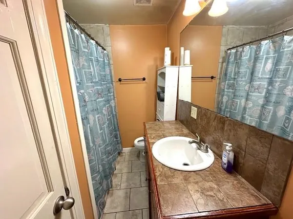 a bathroom with a sink a mirror a toilet and shower