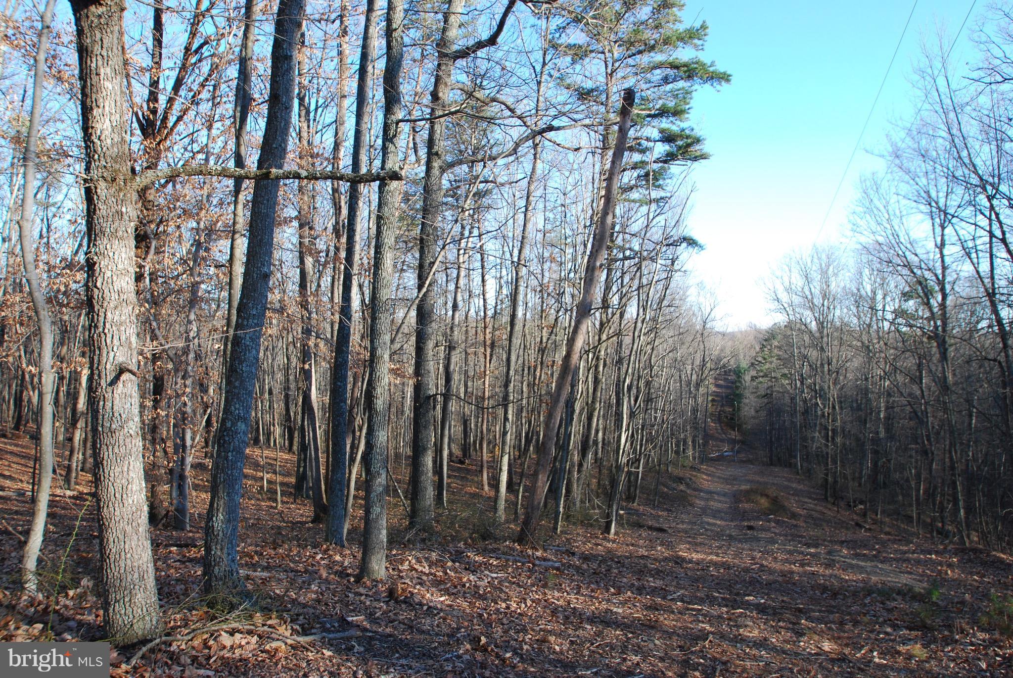 Free State Road Marshall, VA 20115 - Photo 2 of 7 Exterior (General)
