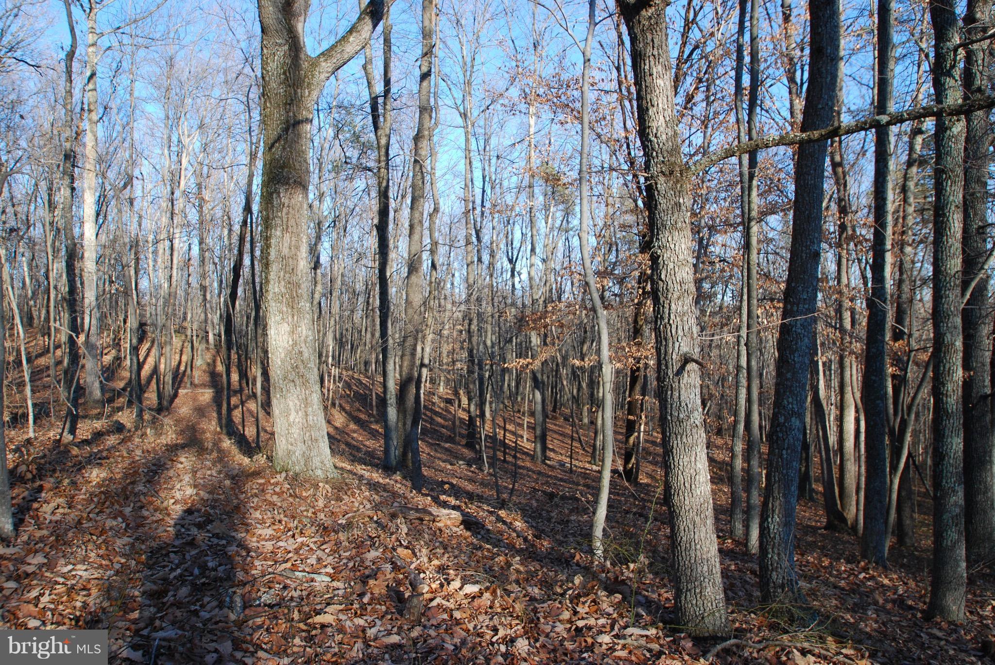 Free State Road Marshall, VA 20115 - Photo 3 of 7 Exterior (General)