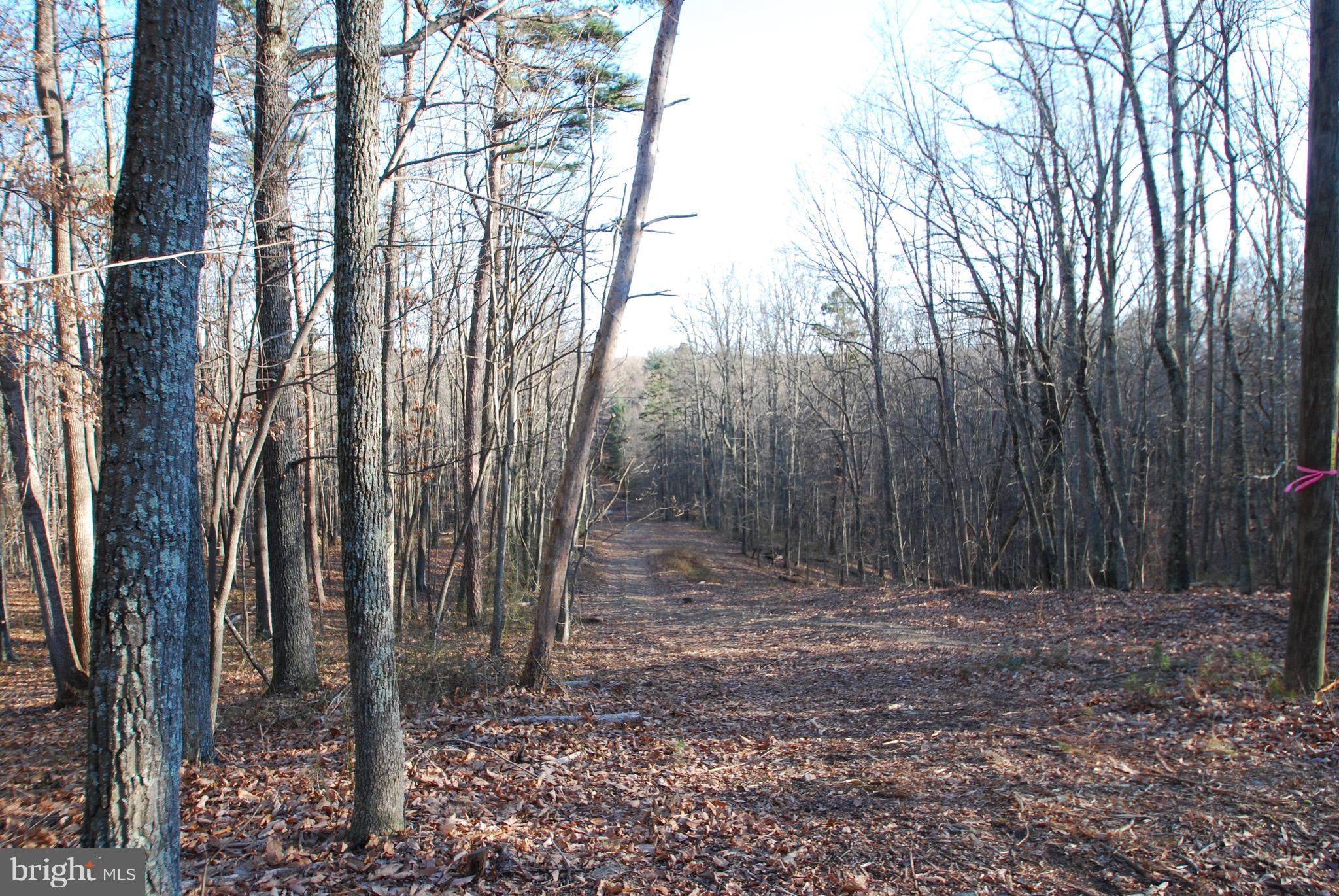 Free State Road Marshall, VA 20115 - Photo 4 of 7 Exterior (Front)