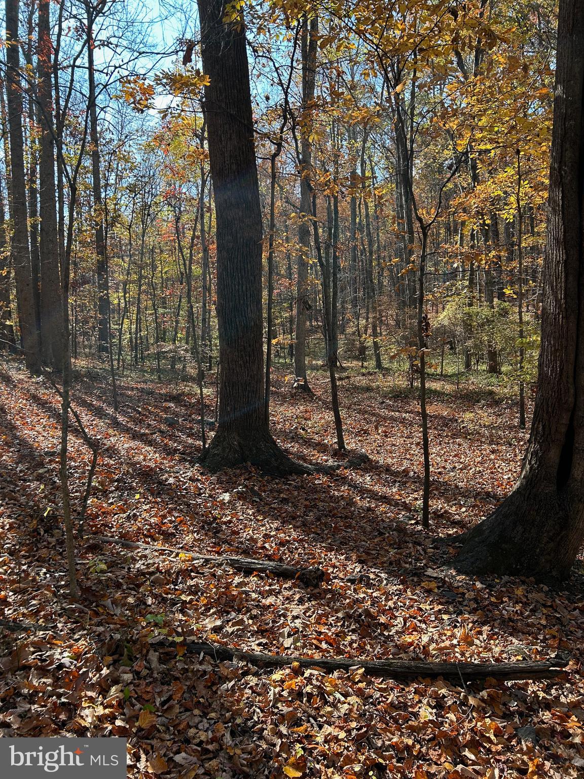 Free State Road Marshall, VA 20115 - Photo 7 of 7