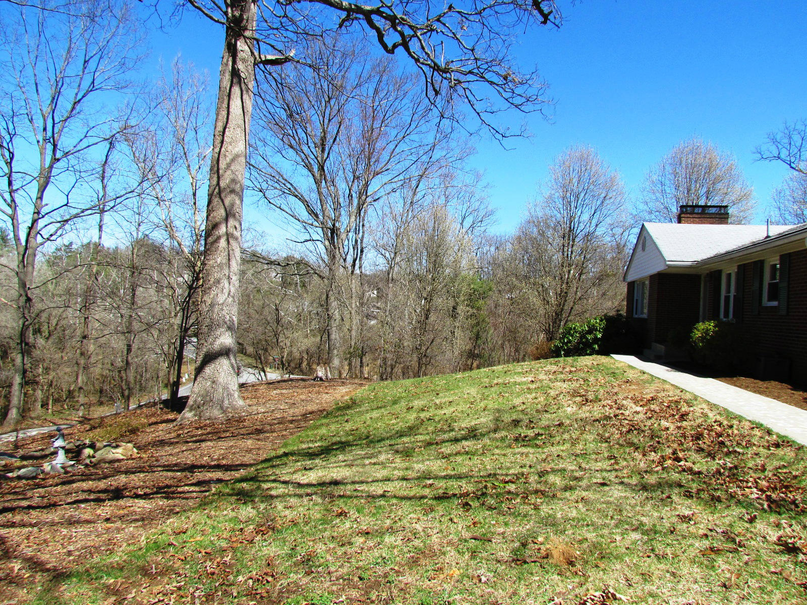 2605 Greenview Road Roanoke, VA 24018 - Photo 29 of 30 Front Yard