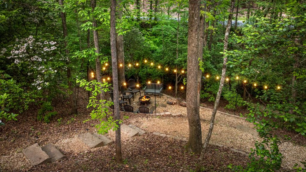 152 North Hiawatha Trail Blue Ridge, GA 30513 - Photo 87 of 101 Gallery Image 87