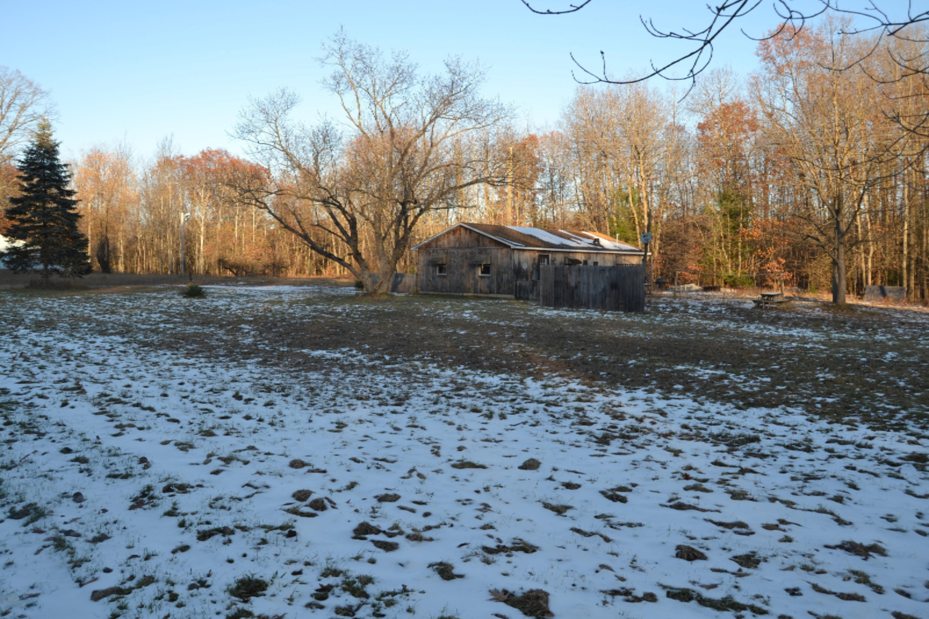 5031 East Loop Road Hesperia, MI 49421 - Photo 2 of 24 DSC_0801