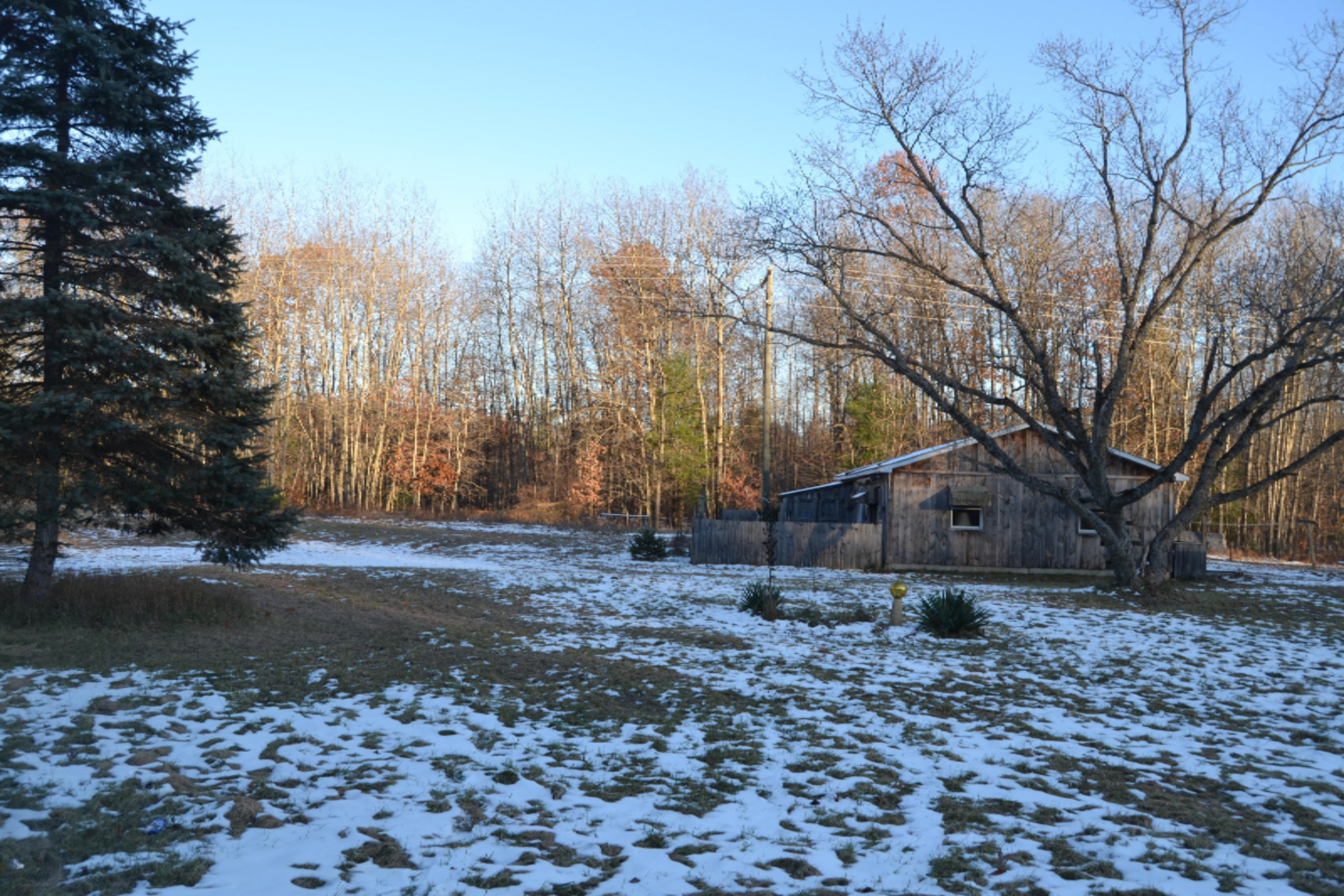 5031 East Loop Road Hesperia, MI 49421 - Photo 5 of 24 DSC_0804