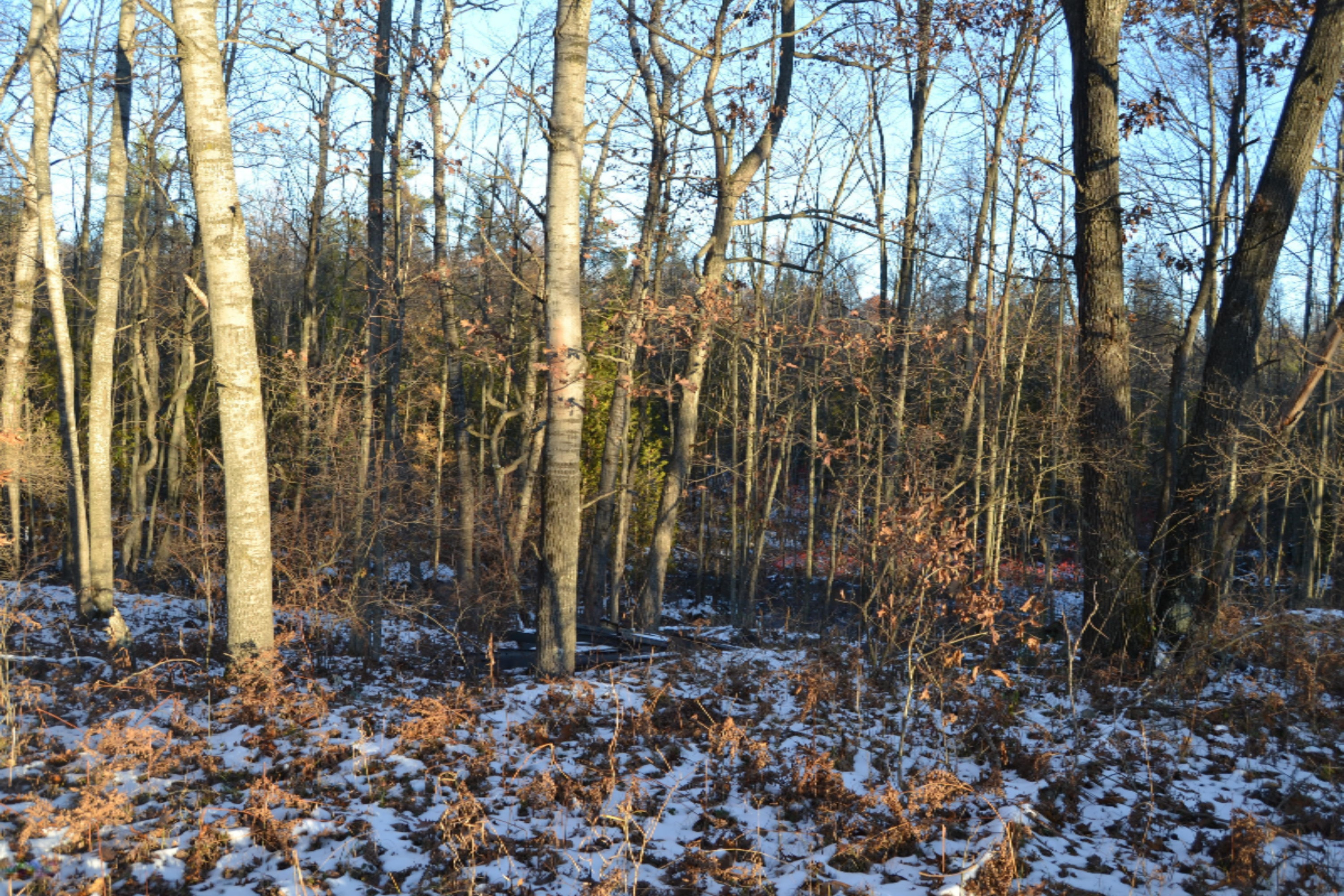 5031 East Loop Road Hesperia, MI 49421 - Photo 7 of 24 DSC_0806