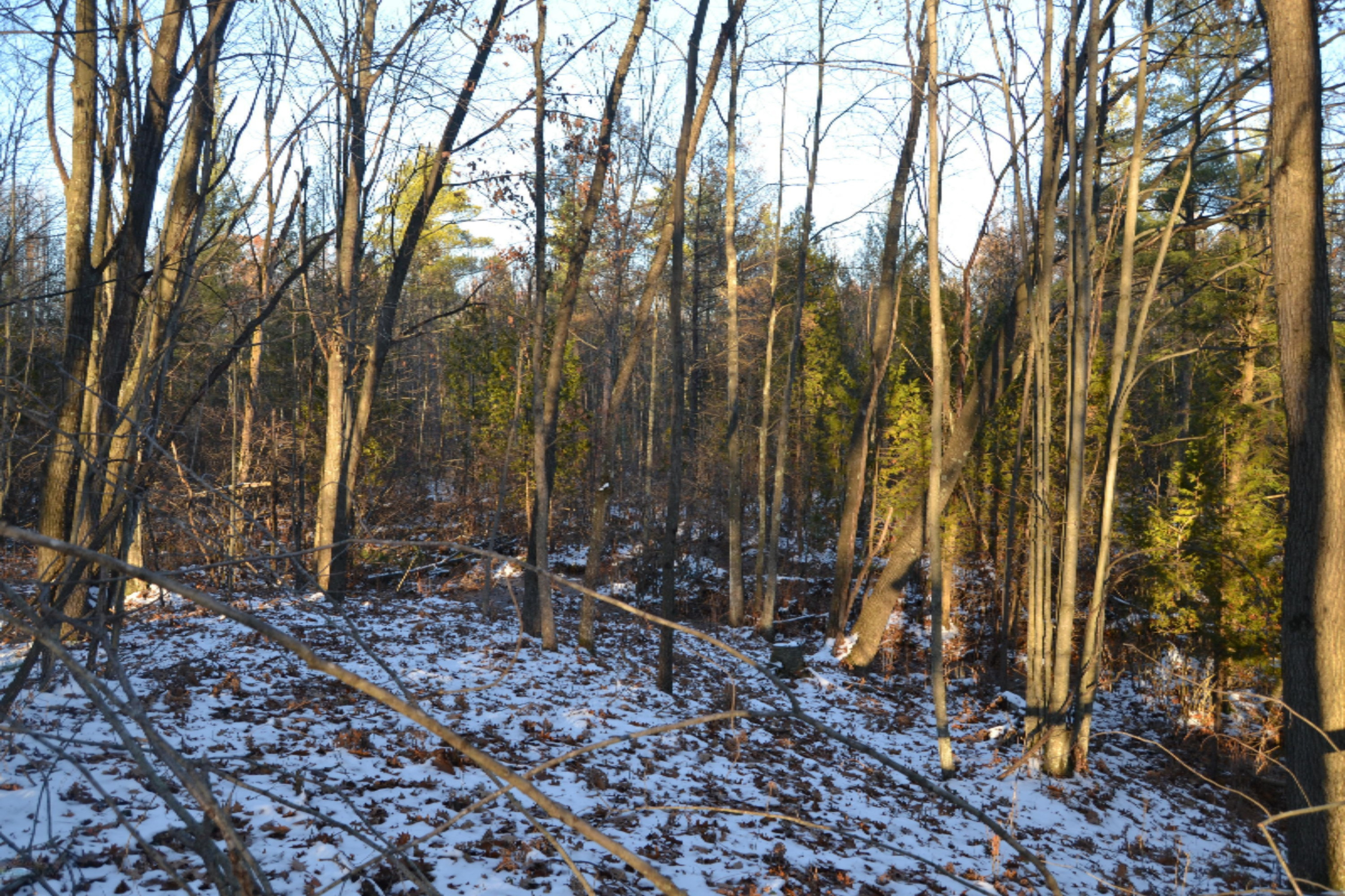 5031 East Loop Road Hesperia, MI 49421 - Photo 8 of 24 DSC_0807