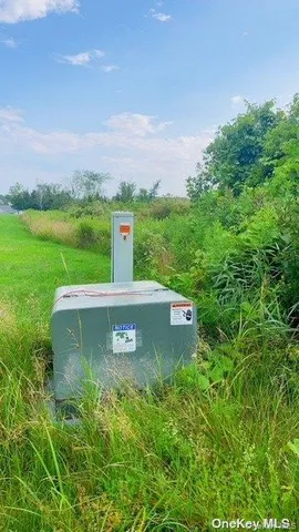a view of a garden with a building in the background