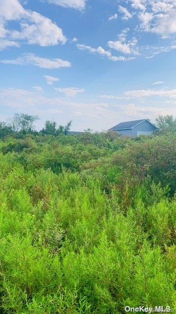 20 Fox Run Road Athens, NY 12015 - Photo 3 of 6 a view of a big yard with lots of green space