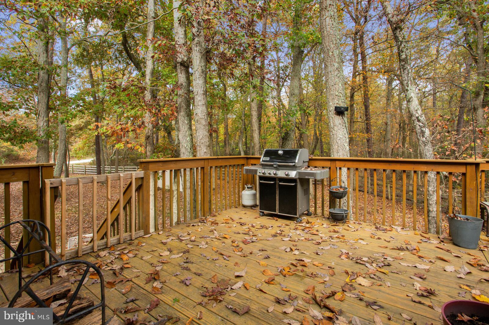 209 North Success Road Cream Ridge, NJ 08514 - Photo 38 of 43