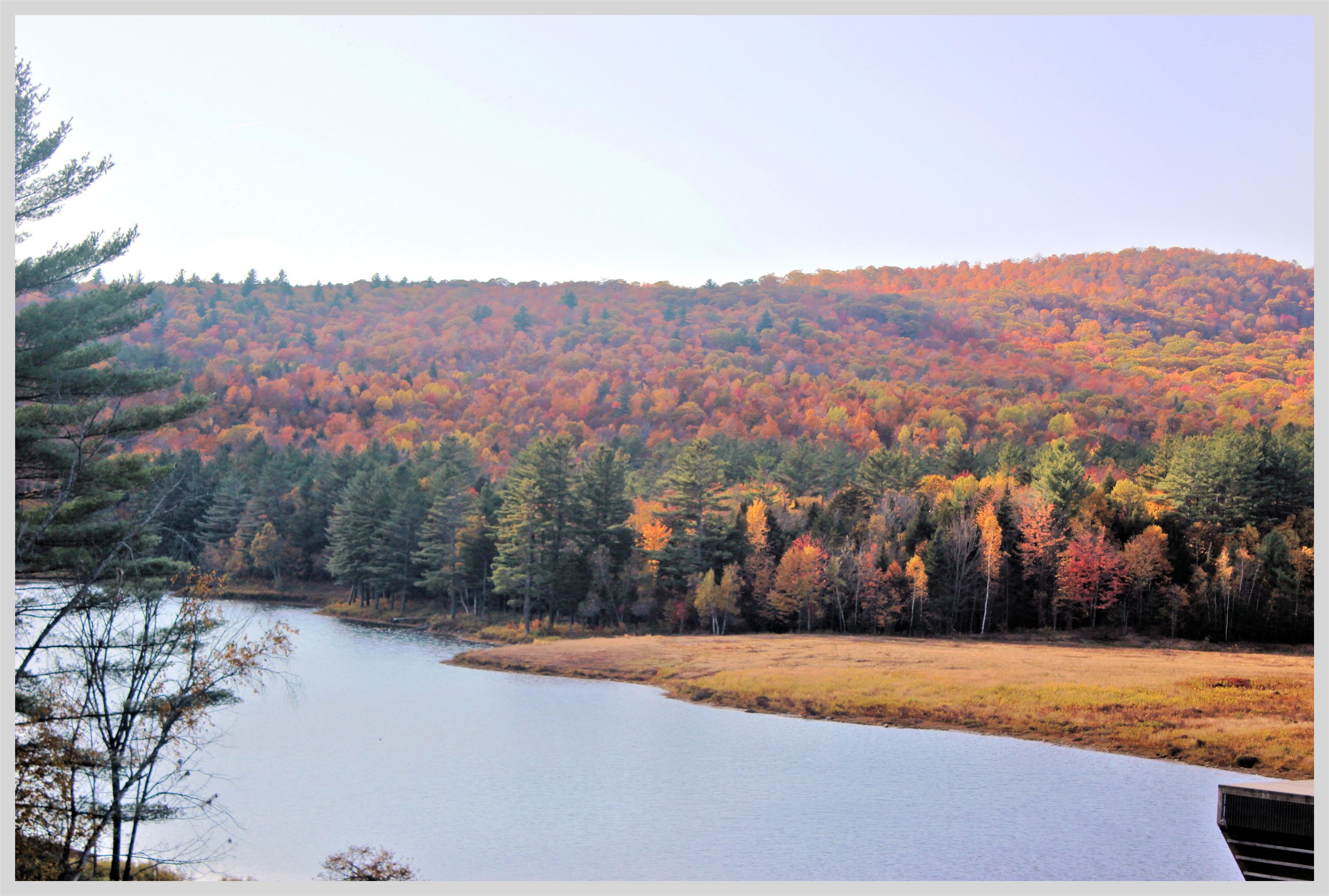 206 River Road Rumney, NH 03266 - Photo 59 of 60