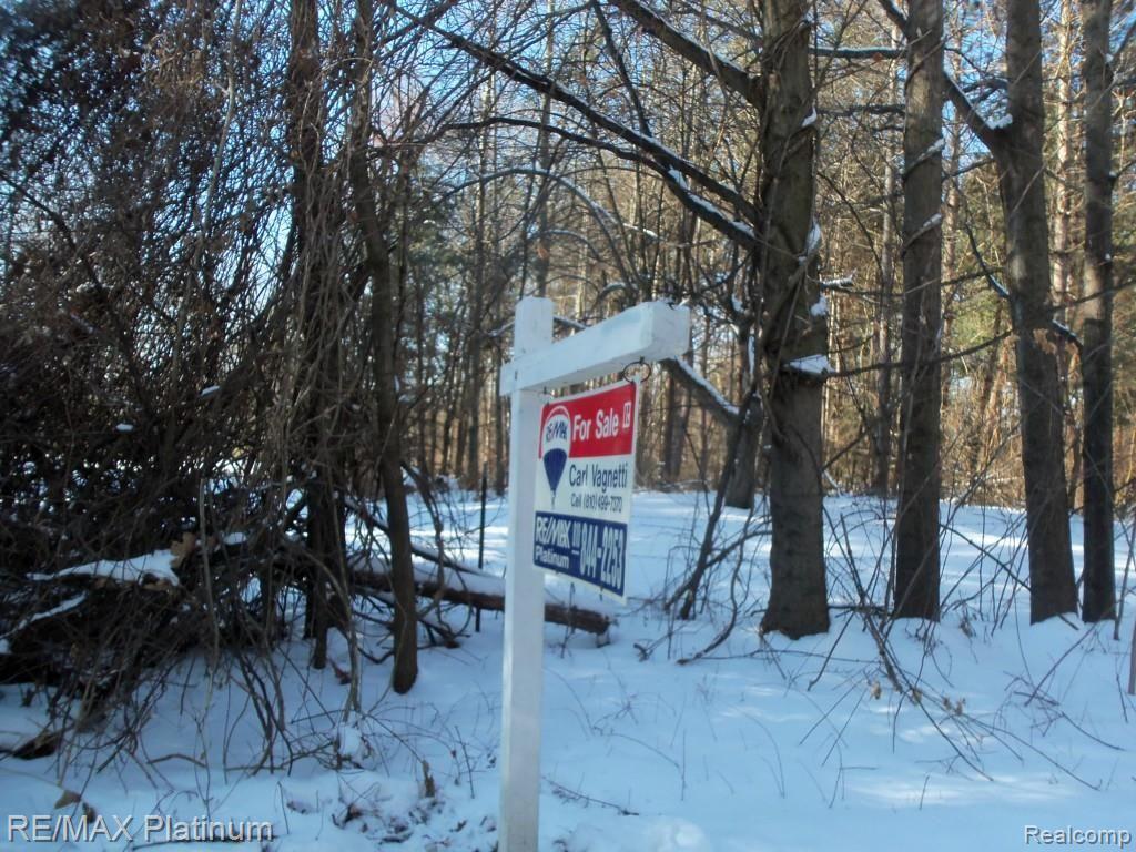 Parcel B Roberts Drive Fenton, MI 48430 - Photo 4 of 5