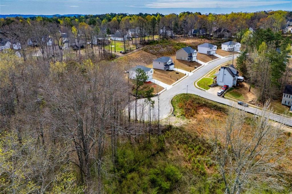 138 Deer Crossing Temple, GA 30179 - Photo 15 of 20