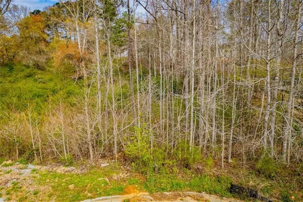 $50,000 | 138 Deer Crossing, Temple, GA 30179