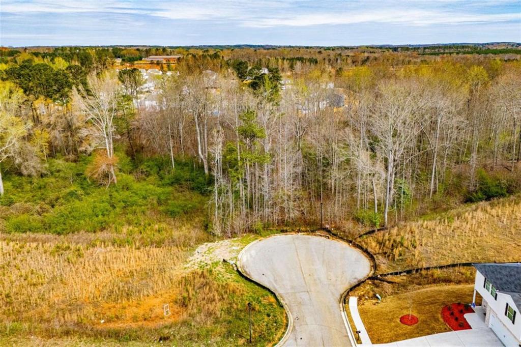 138 Deer Crossing Temple, GA 30179 - Photo 2 of 20
