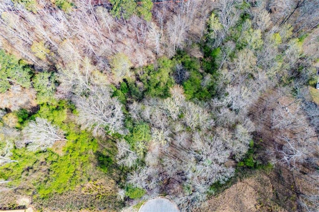 138 Deer Crossing Temple, GA 30179 - Photo 7 of 20