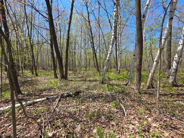 $209,500 | 0 4th Vance Creek, Clayton, WI 54004