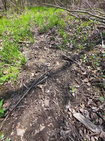 $209,500 | 0 4th Vance Creek, Clayton, WI 54004