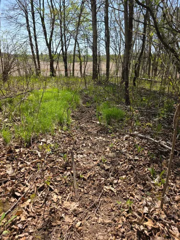 $209,500 | 0 4th Vance Creek, Clayton, WI 54004