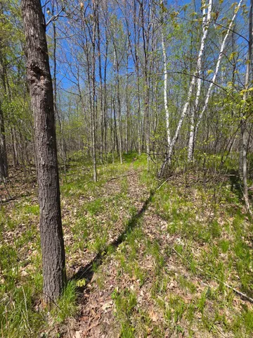 $209,500 | 0 4th Vance Creek, Clayton, WI 54004