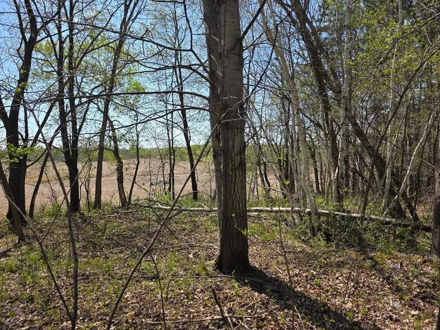 $209,500 | 0 4th Vance Creek, Clayton, WI 54004