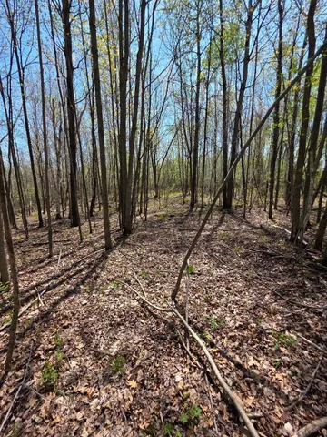 $209,500 | 0 4th Vance Creek, Clayton, WI 54004