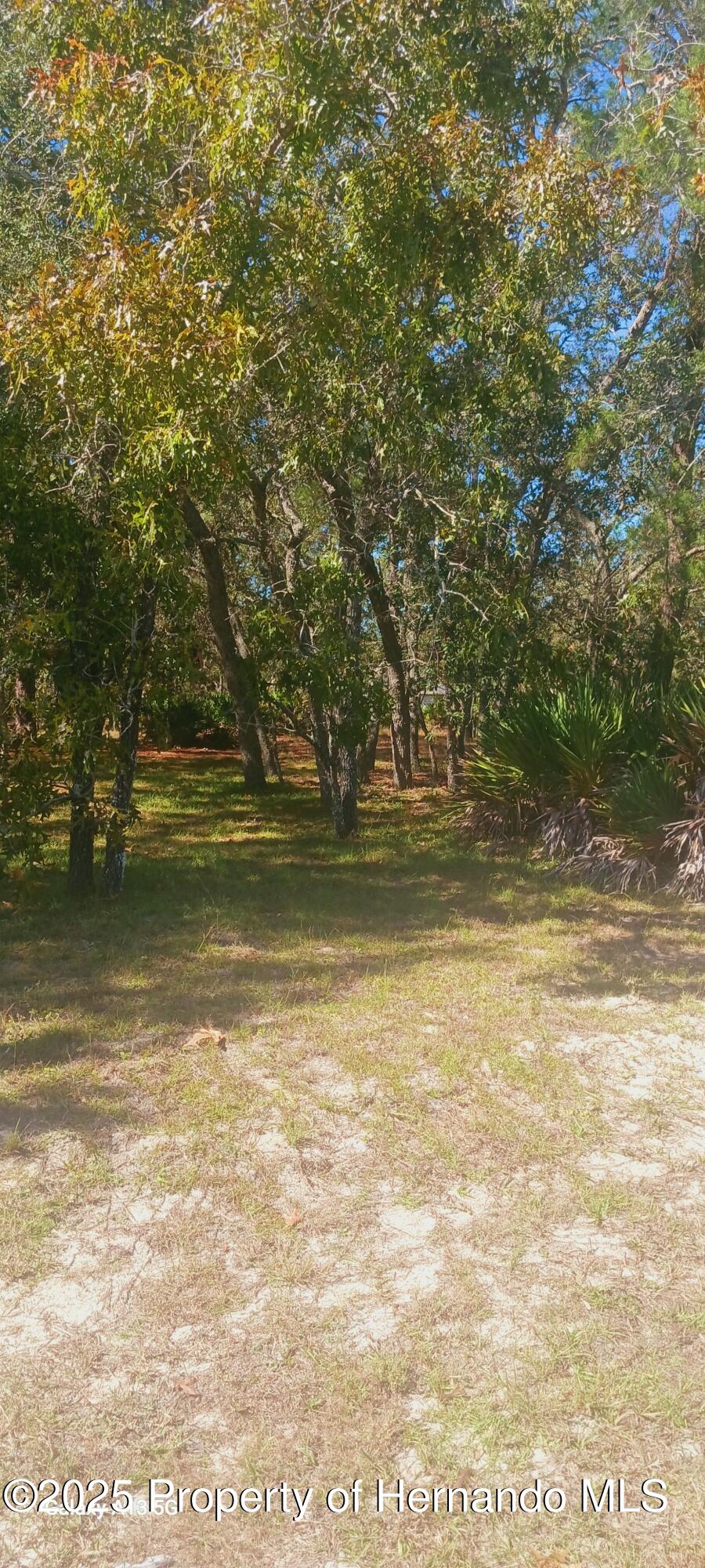 18187 Maberly Road Weeki Wachee, FL 34614 - Photo 5 of 6