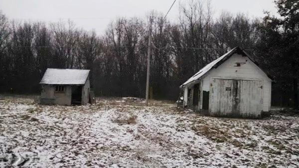 20721 Jefferson Road Morley, MI 49336 - Photo 9 of 10 received_10152522144077197