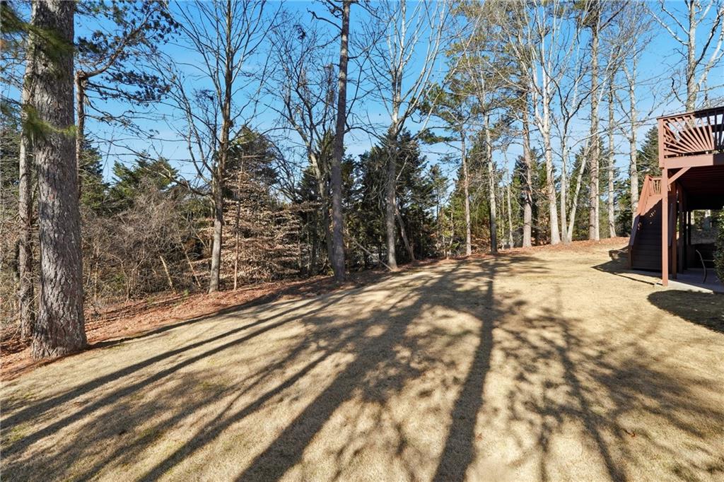585 Tilbury Drive Suwanee, GA 30024 - Photo 44 of 46 a view of a yard with trees