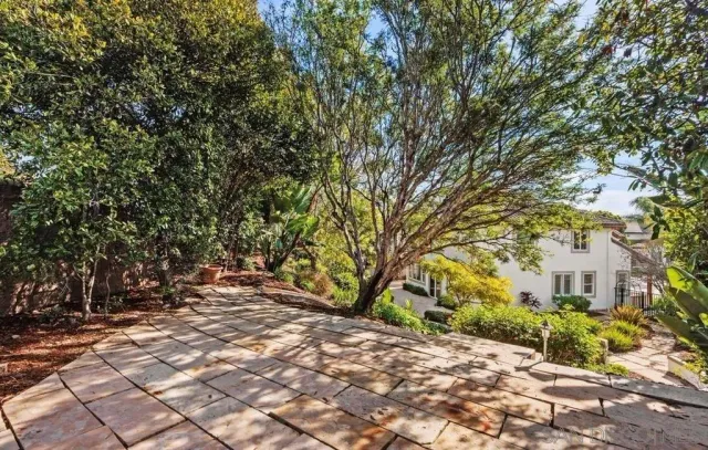 a view of a garden with plants